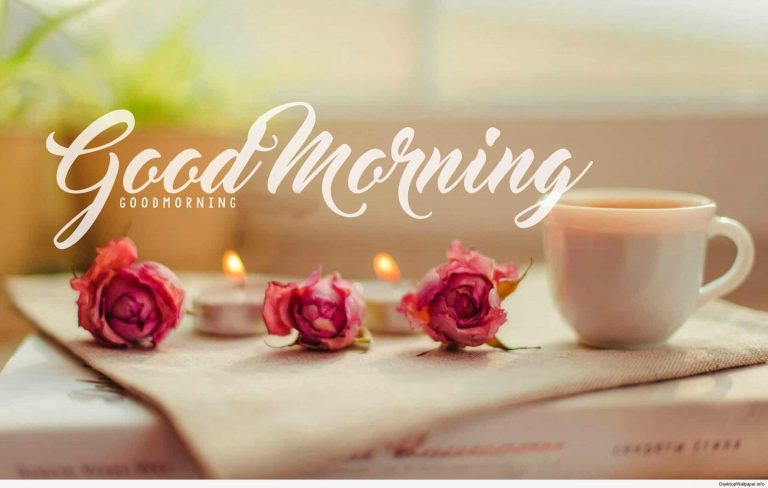Best 125+ Good Morning Images HD Pictures Wallpapers Download {Flowers,Nature,Love}