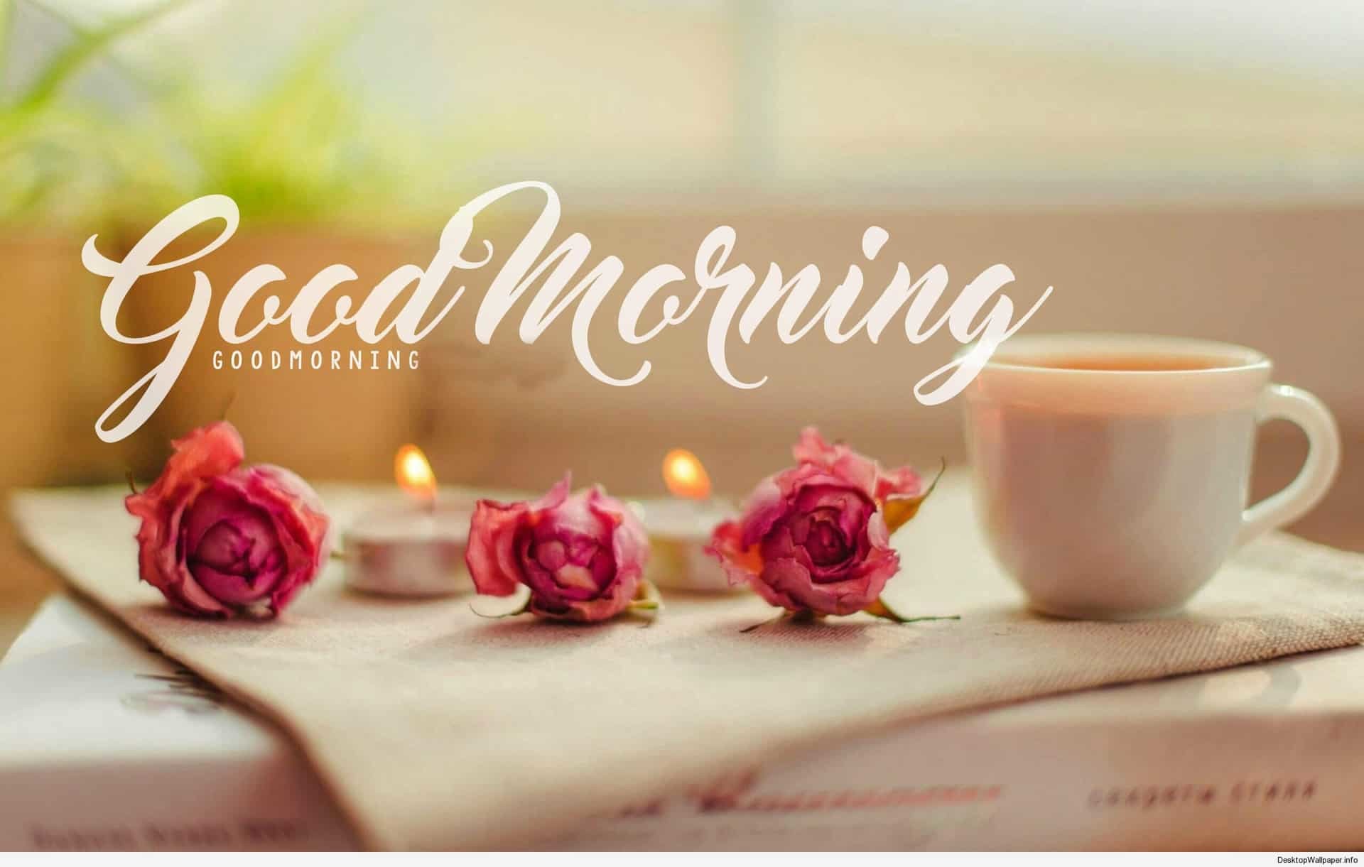 Best 125+ Good Morning Images HD Pictures Wallpapers Download {Flowers,Nature,Love}