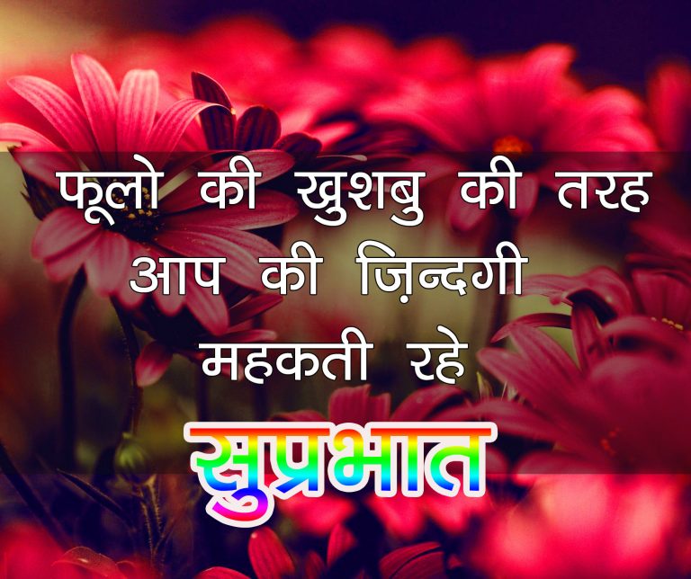 125+ Shandaar Good Morning Shayari Images Photos in Hindi for WhatsApp Status Free Download