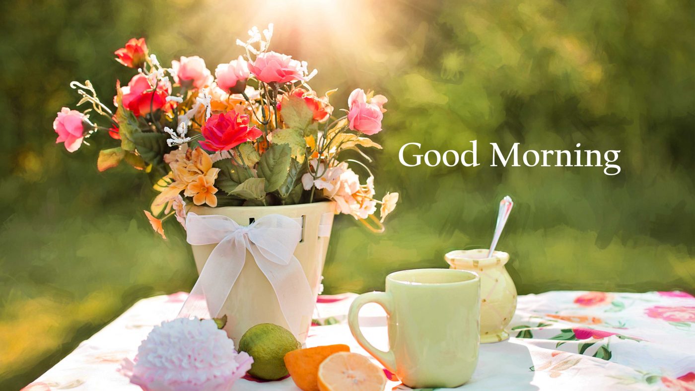 Best 125+ Good Morning Images HD Pictures Wallpapers Download {Flowers ...