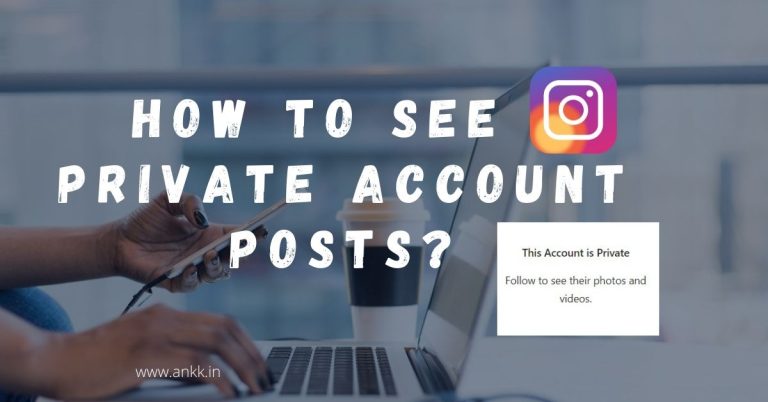 How to See Instagram Private Account Posts?