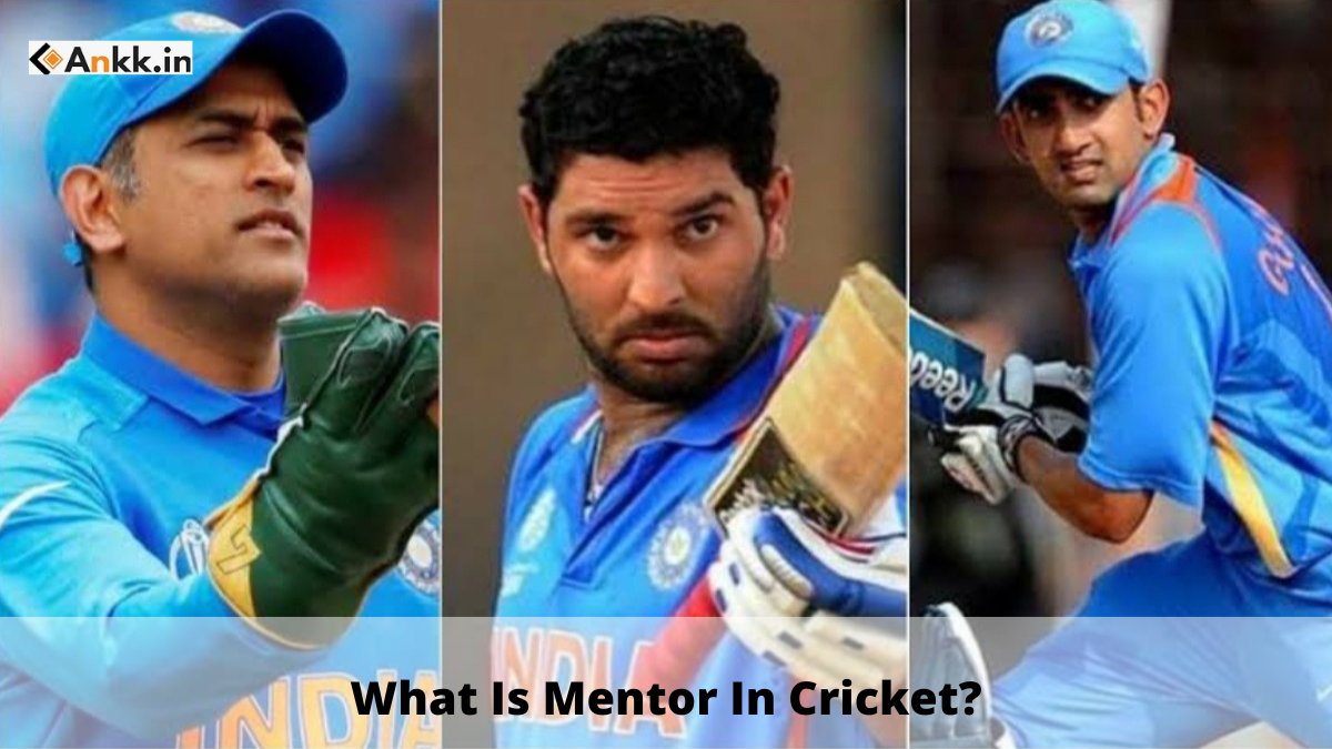 What Is Mentor In Cricket?