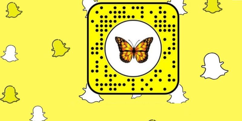  Unlock Butterflies from Others’ Snap